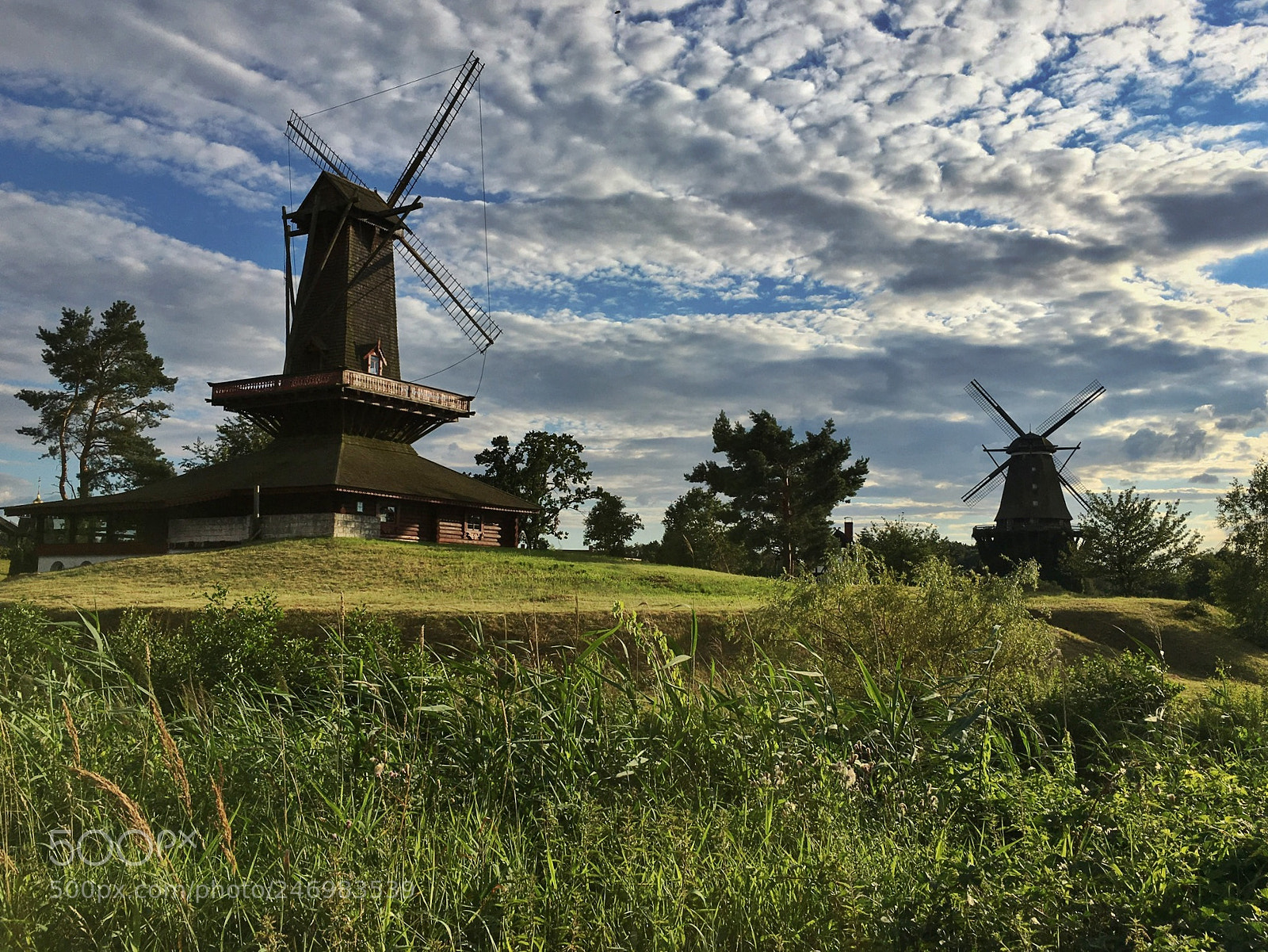 Apple iPhone 6s sample photo. Gifhorn photography