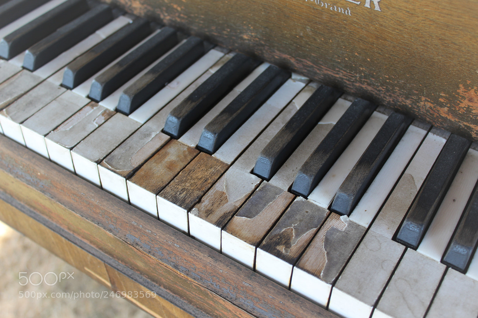Canon EOS 1200D (EOS Rebel T5 / EOS Kiss X70 / EOS Hi) sample photo. Tired keys photography