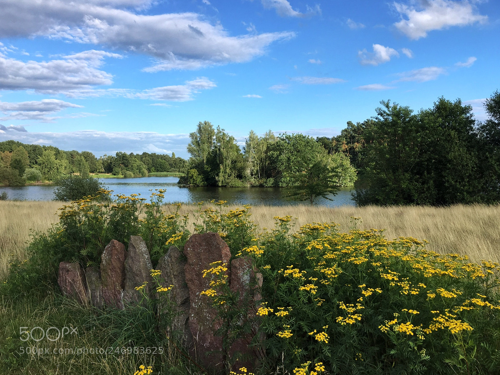 Apple iPhone 6s sample photo. Gifhorn photography