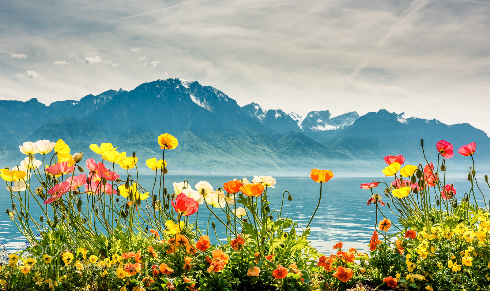 Nikon D810 sample photo. On the shore of photography