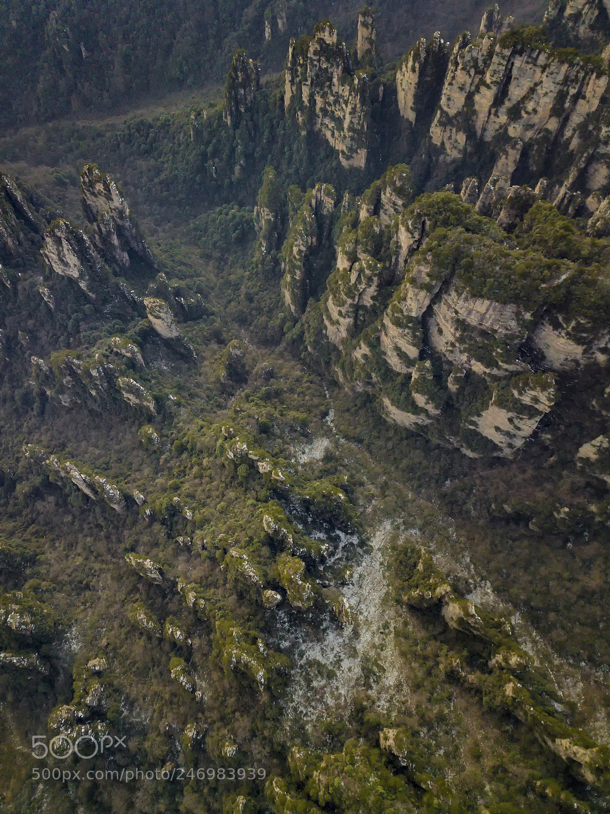 DJI FC220 sample photo. Untitled photography