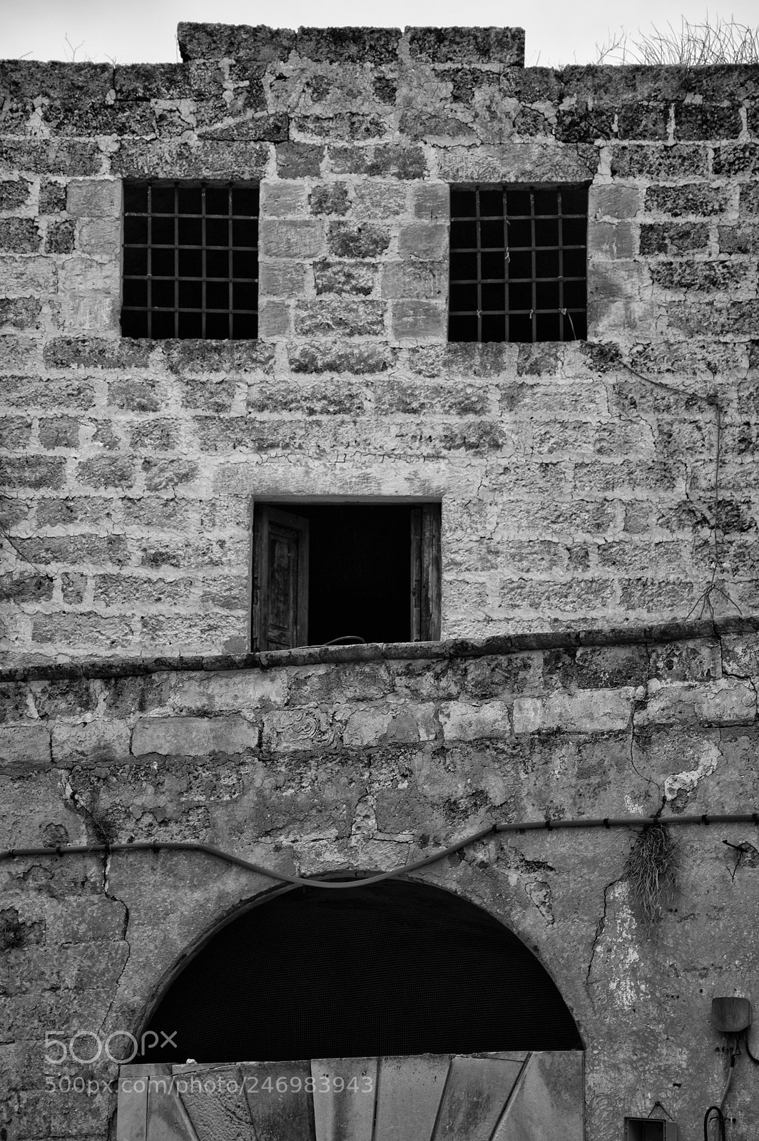 Nikon D3200 sample photo. Mimetizzazione photography