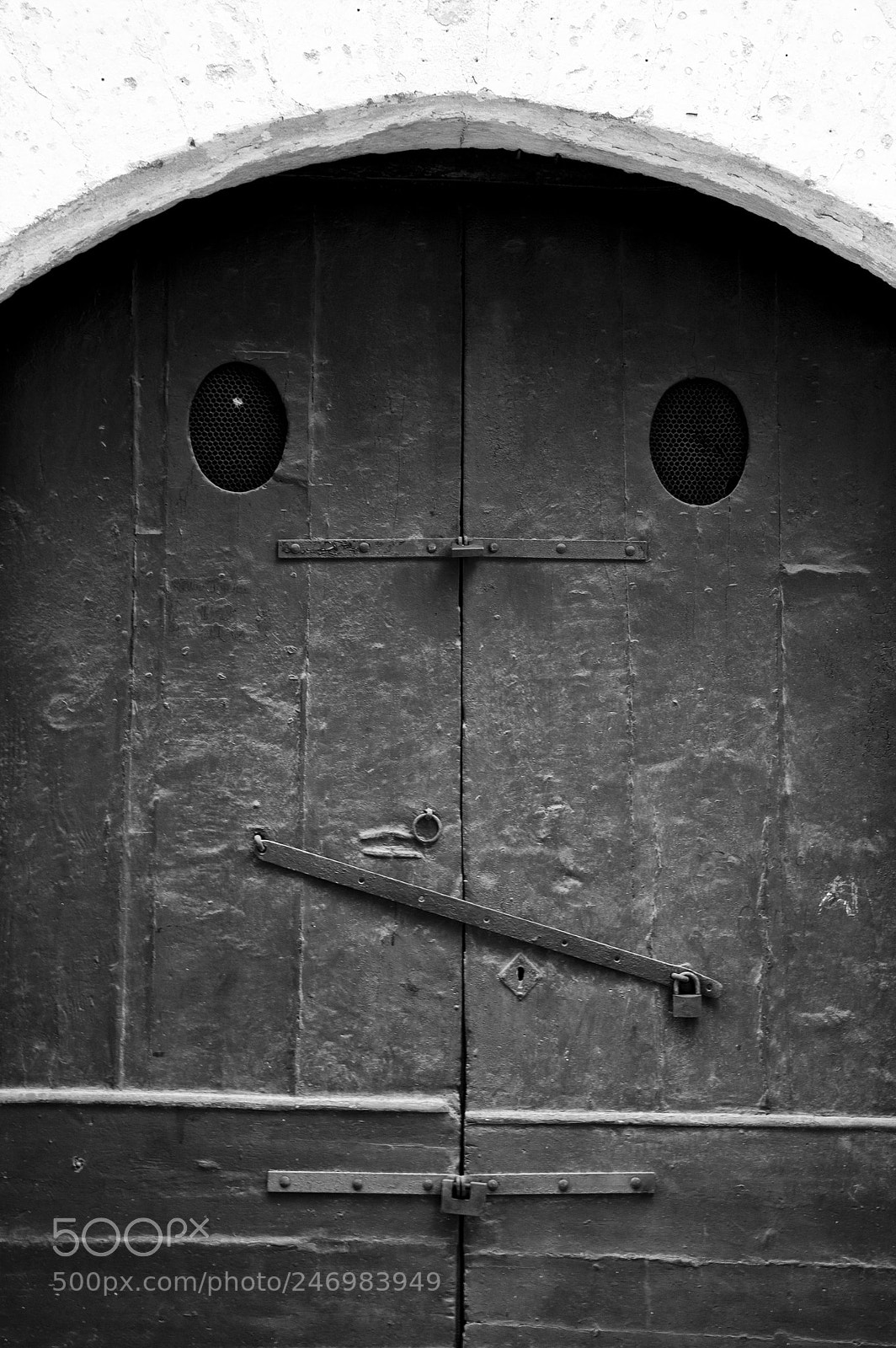 Nikon D3200 sample photo. Mimetizzazione photography