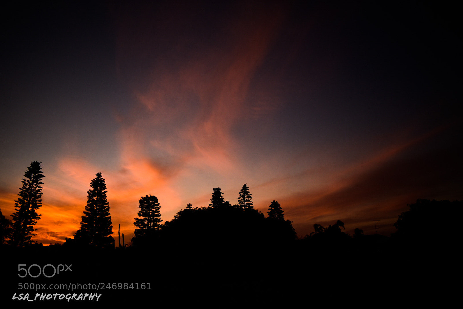Nikon D3400 sample photo. Another sunset photo insta photography