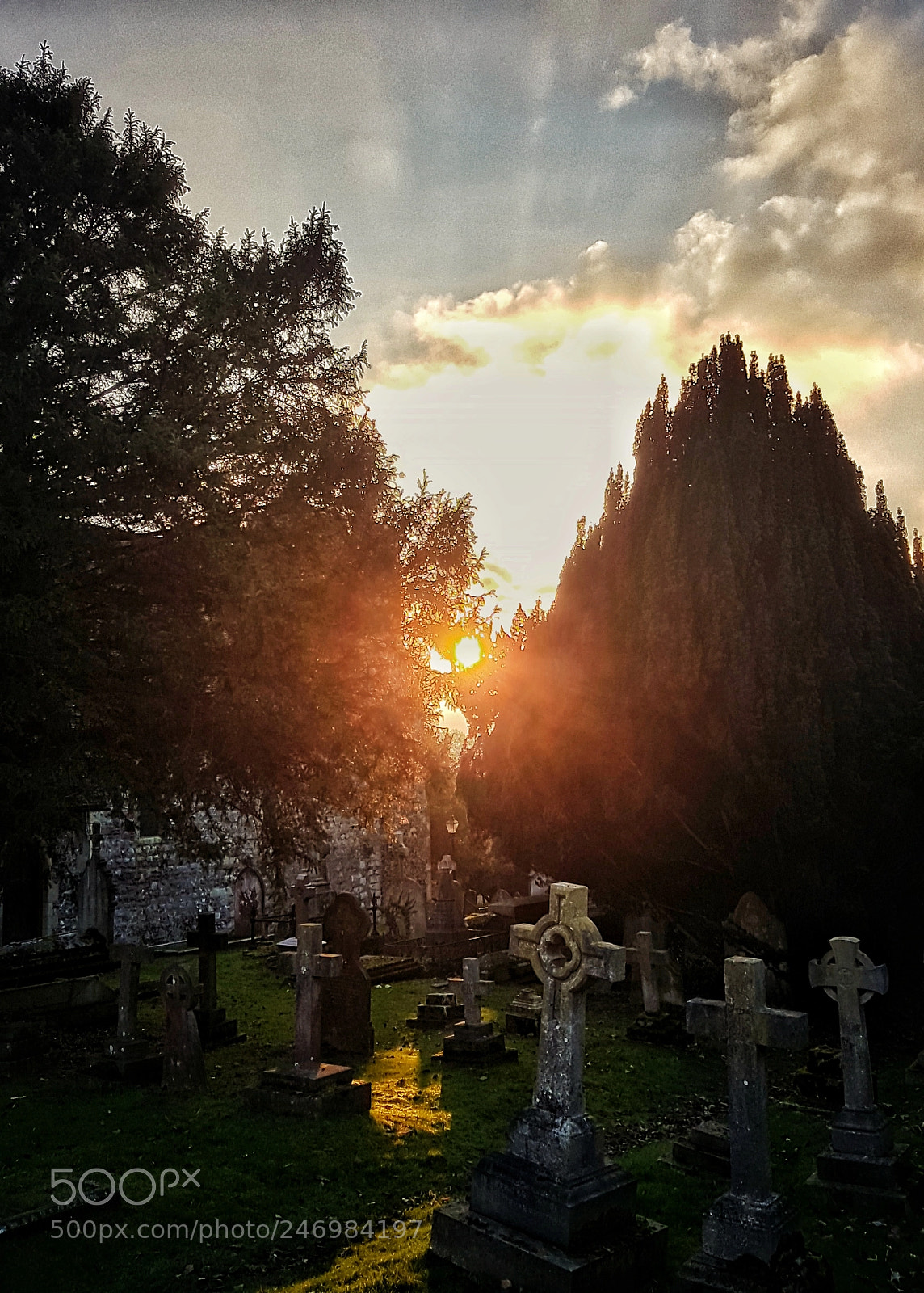 Samsung Galaxy S7 sample photo. Light after death photography