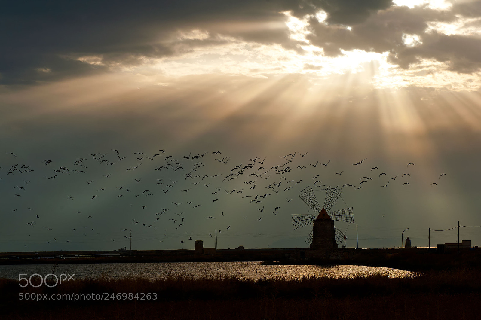 Nikon D700 sample photo. Sicily , the salina photography
