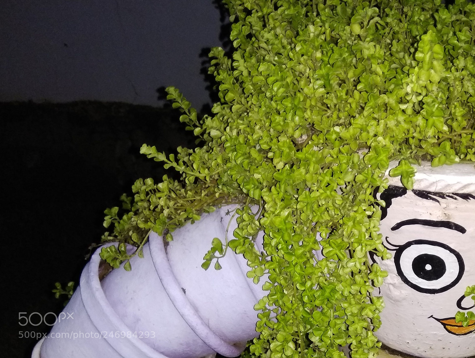 Xiaomi Redmi Note 4 sample photo. Img_20170905_205828-001.jpg photography
