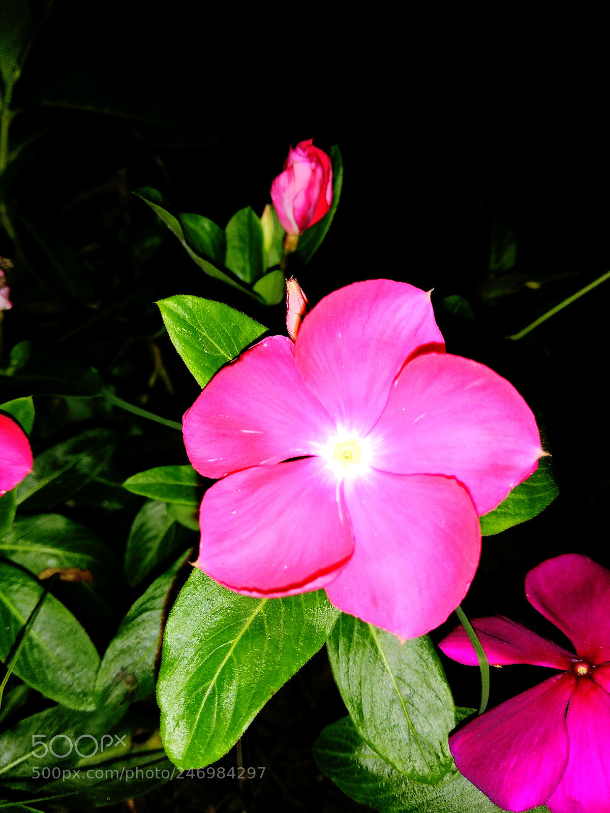 Xiaomi Redmi Note 4 sample photo. Img_20170905_210627.jpg photography