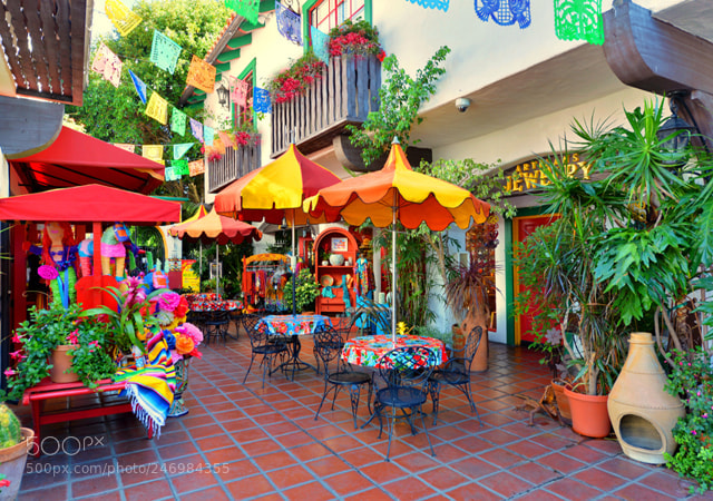 Nikon D600 sample photo. Crazy for shopping in photography