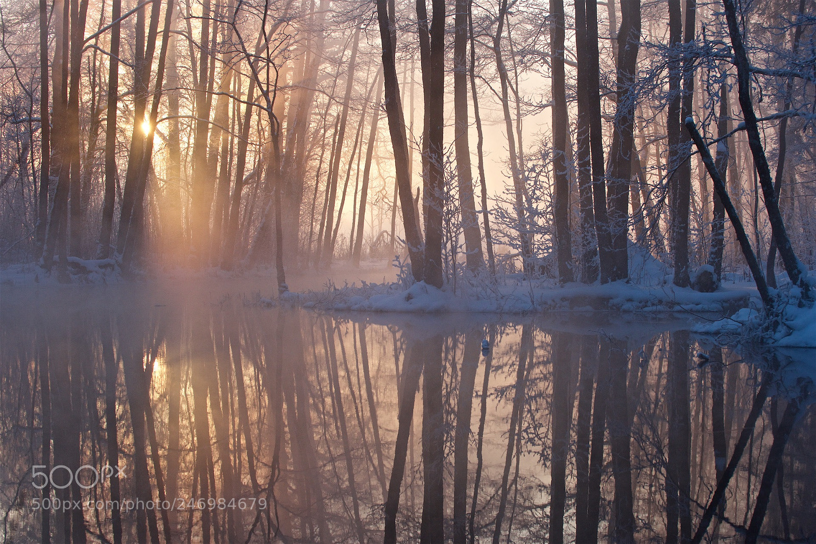 Nikon D810 sample photo. Cold morning. photography