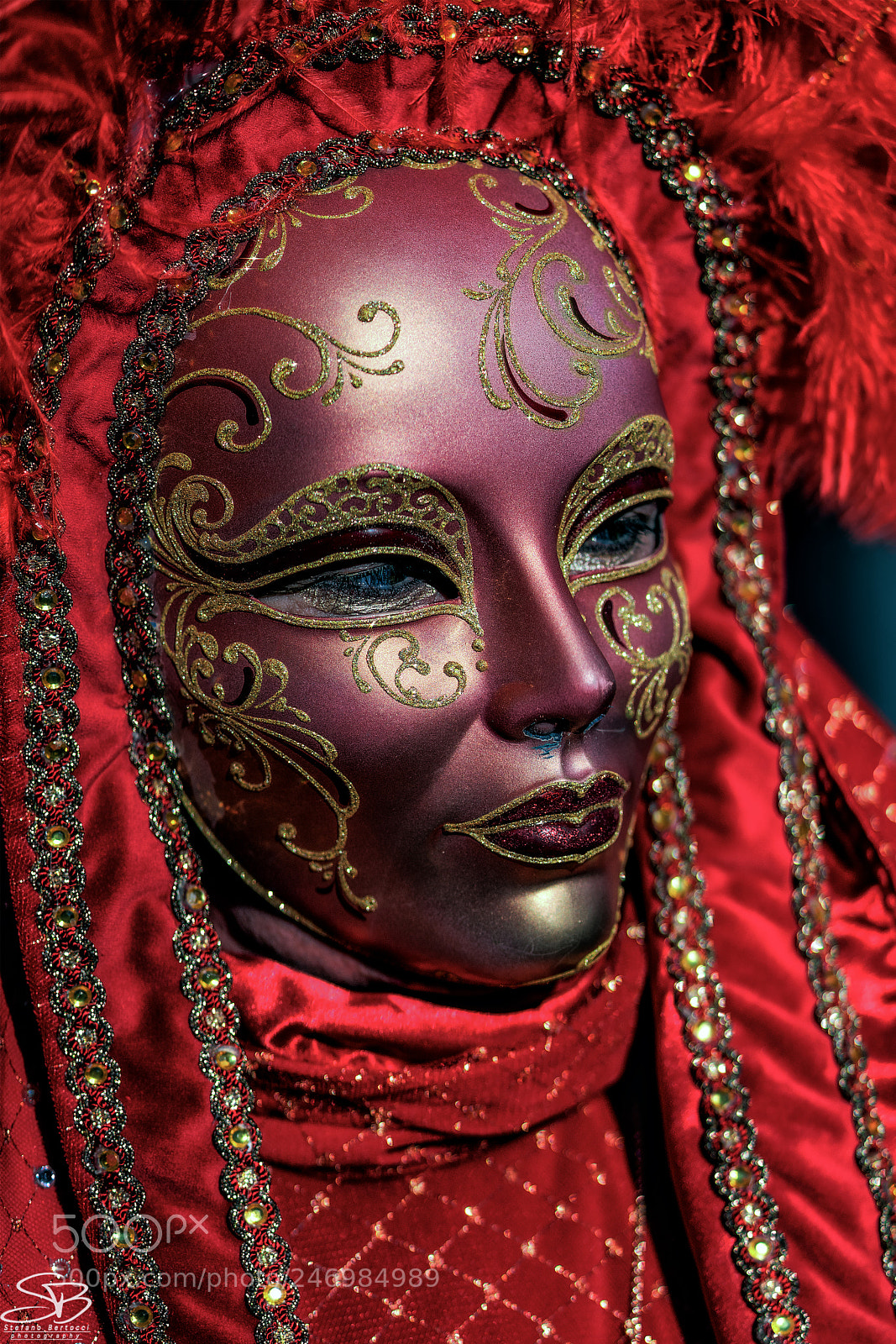 Sony a7R II sample photo. Dsc photography