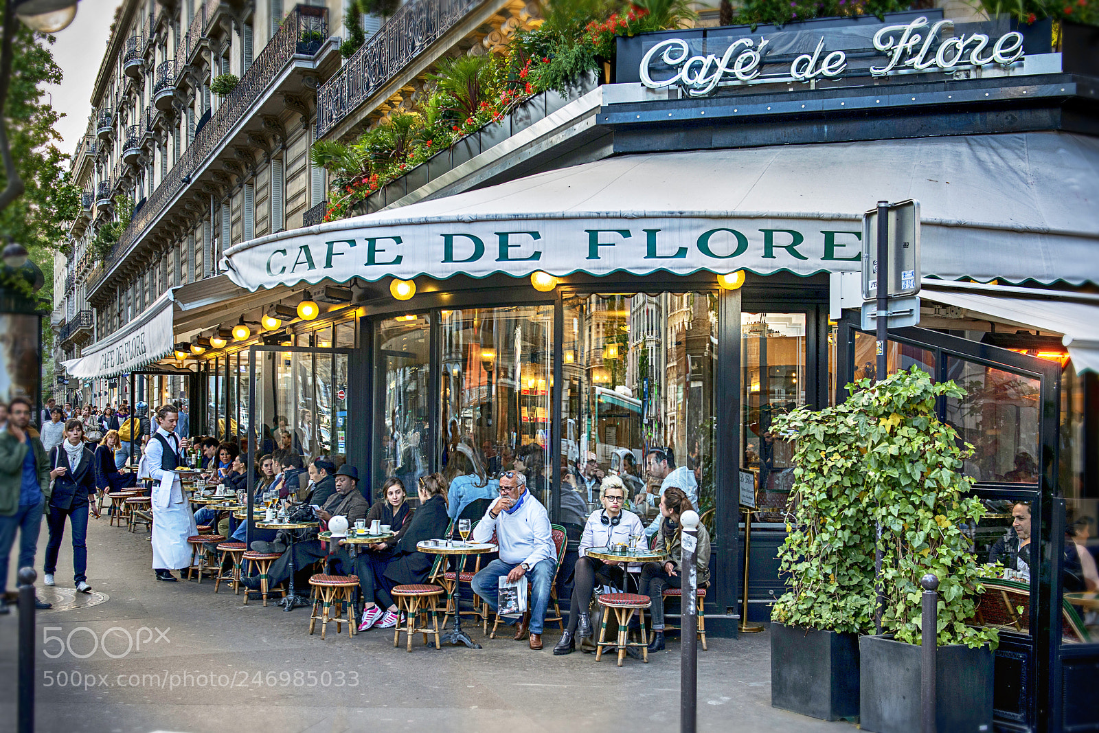Nikon D800 sample photo. Paris cafe / france photography