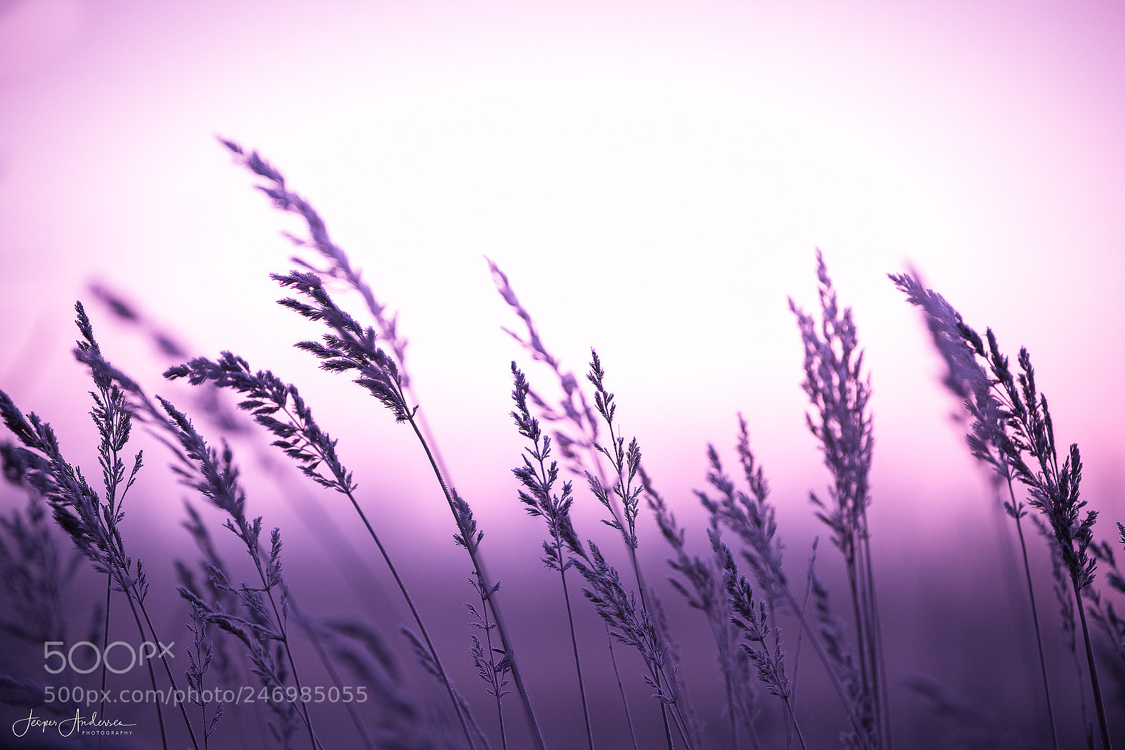 Canon EOS 6D Mark II sample photo. Serenity photography