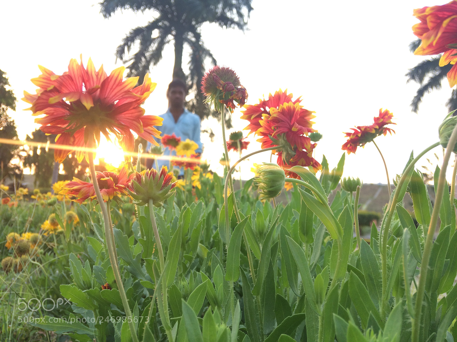 Apple iPhone 5s sample photo. Untitled photography