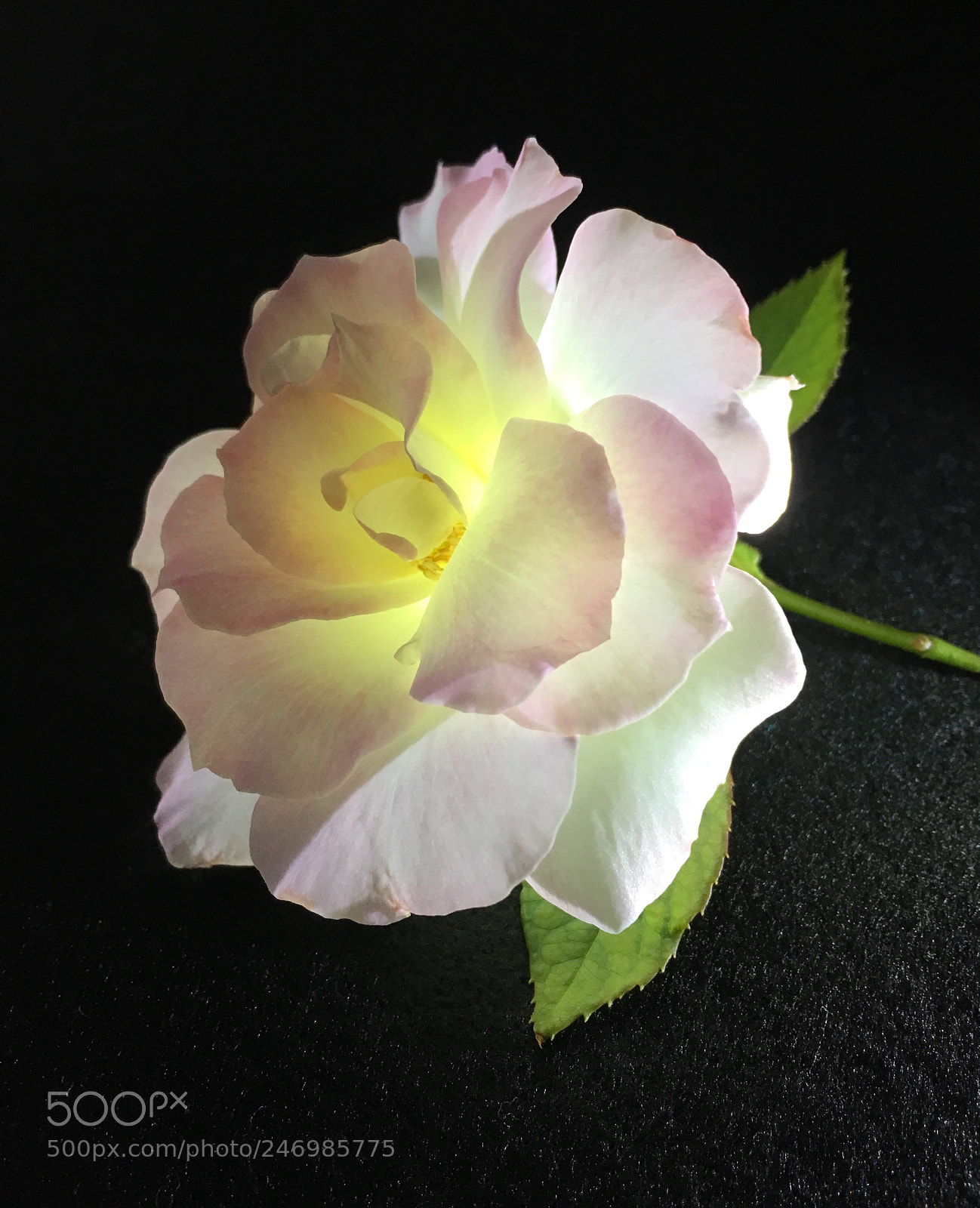 Apple iPhone 6s sample photo. Playing with light photography