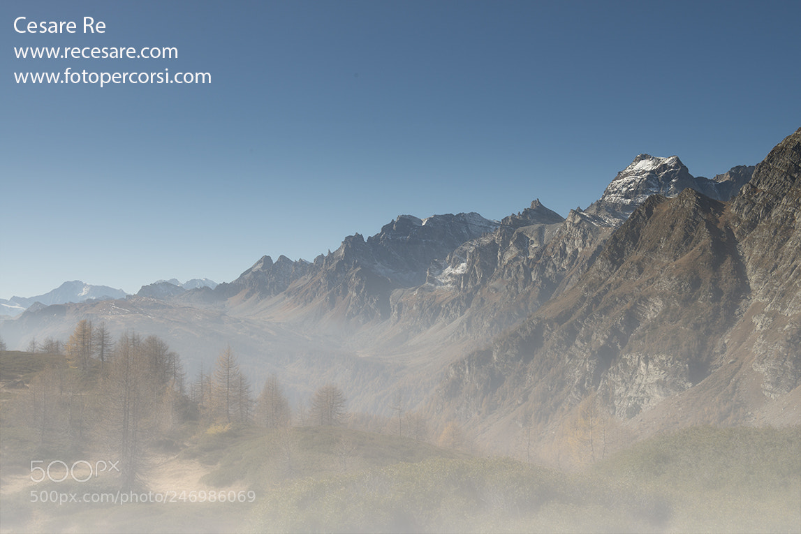 Nikon D800 sample photo. Cervandone. alpe devero park. photography