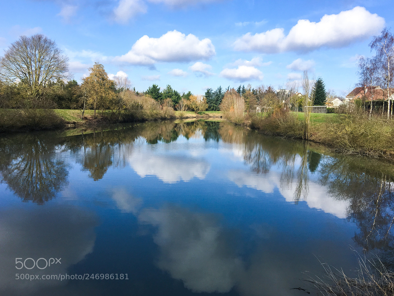 Apple iPhone 6s Plus sample photo. Sunny day in winter photography