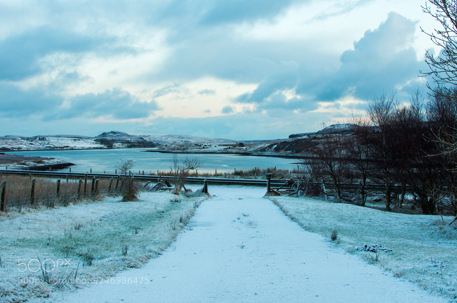Nikon D7200 sample photo. The way forward photography