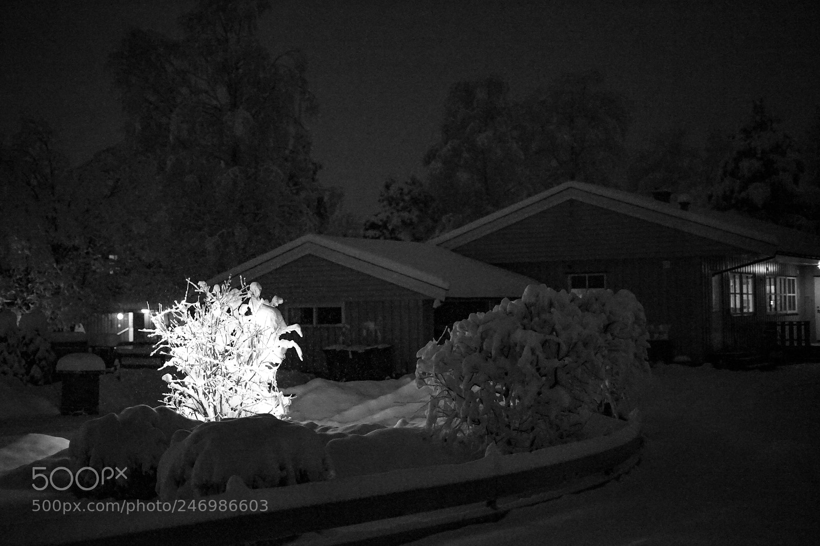 Sony a7 II sample photo. B&w...last day 2017 photography