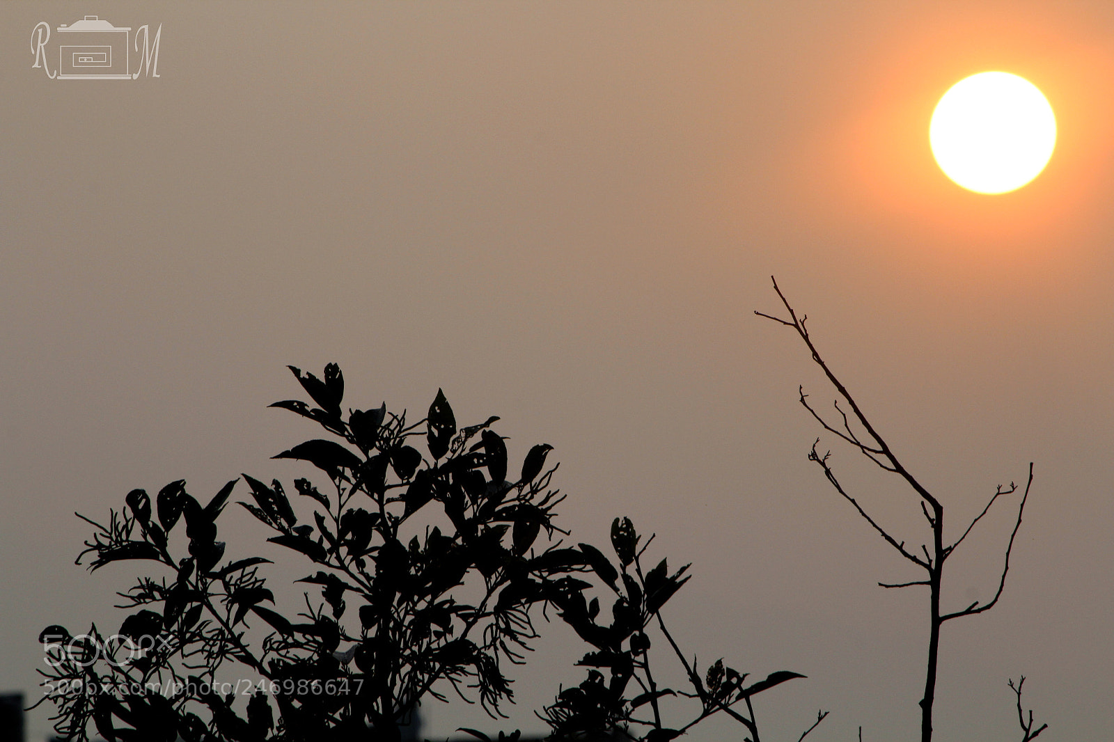 Canon EOS 600D (Rebel EOS T3i / EOS Kiss X5) sample photo. Mood turning dusk. photography