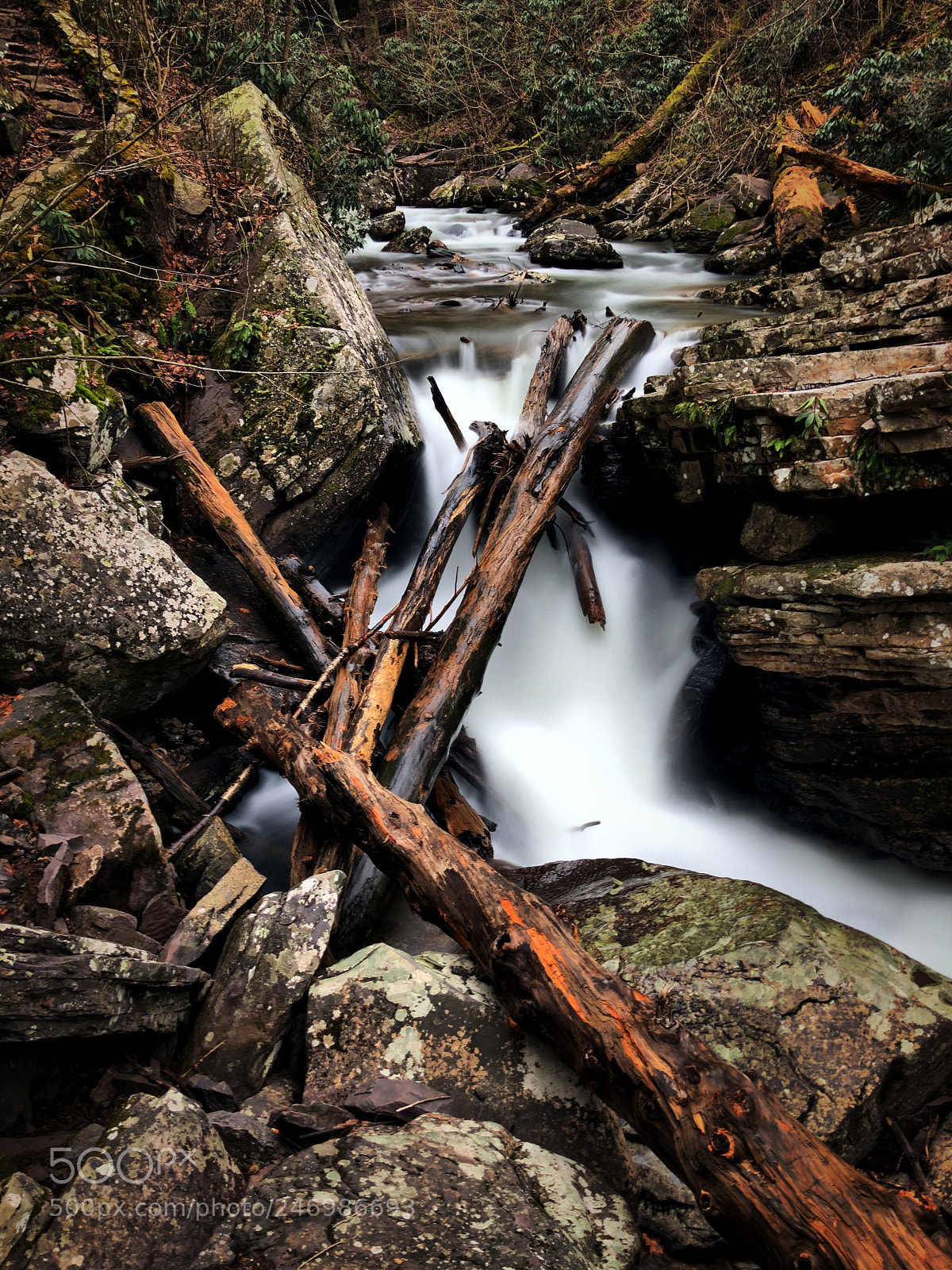 Apple iPhone sample photo. Virginia creek, shot on photography