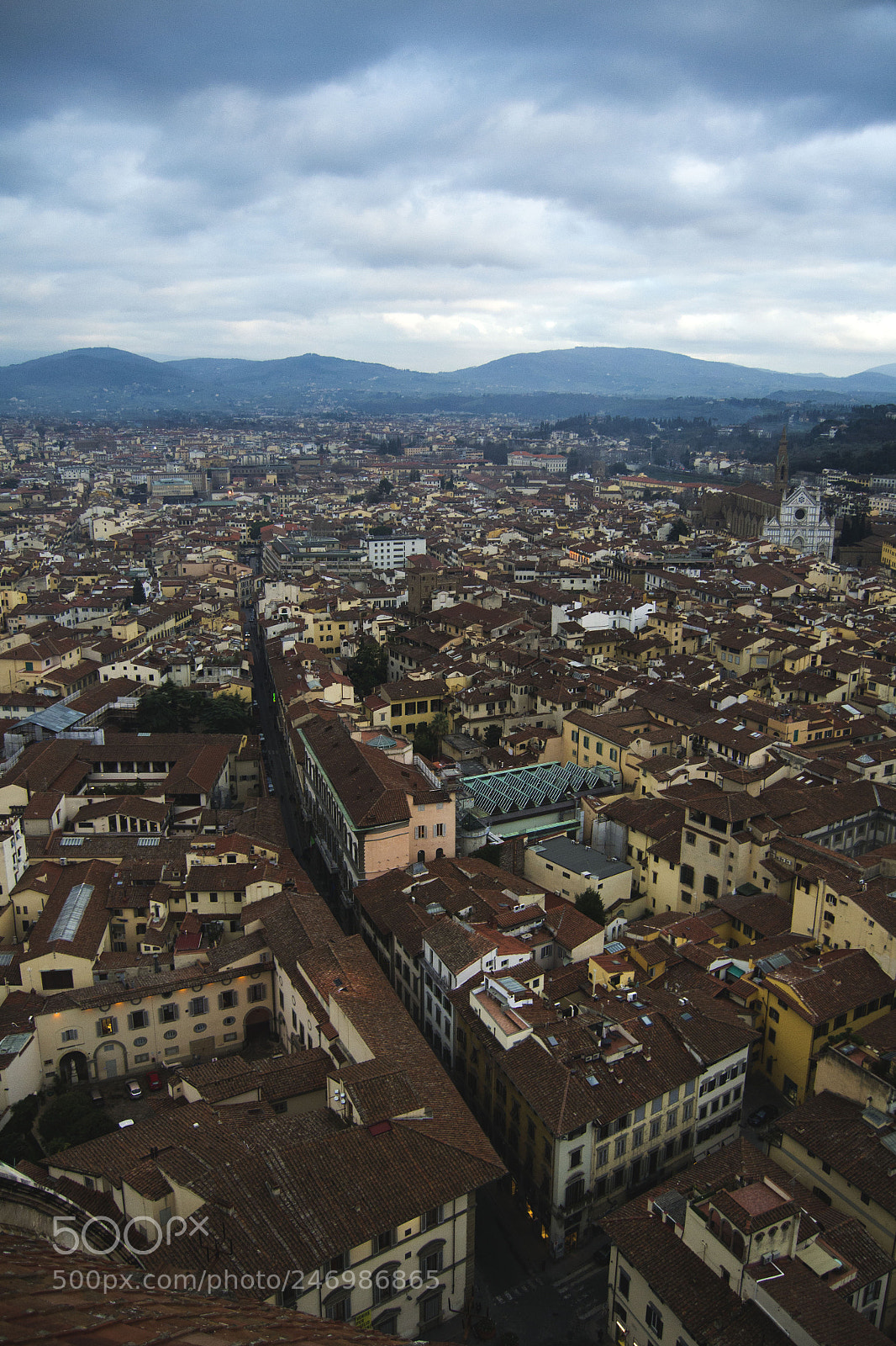 Nikon D3100 sample photo. Firenze dall'alto photography