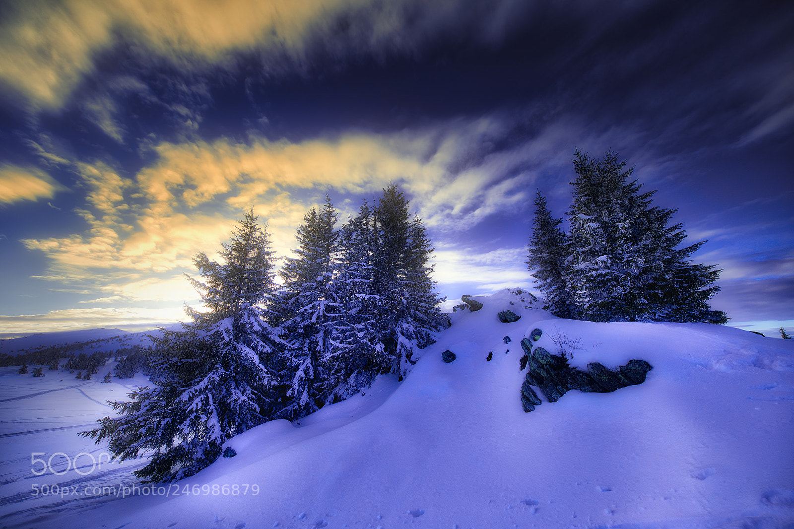 Canon EOS-1D X sample photo. Winterwonderland photography
