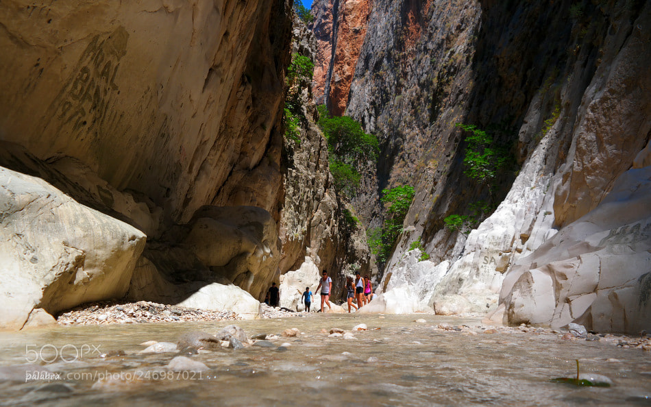 Samsung NX30 sample photo. ... photography