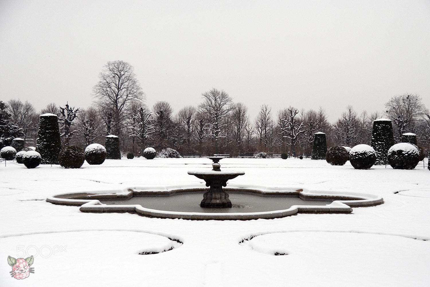 Nikon D610 sample photo. Schönbrunn photography