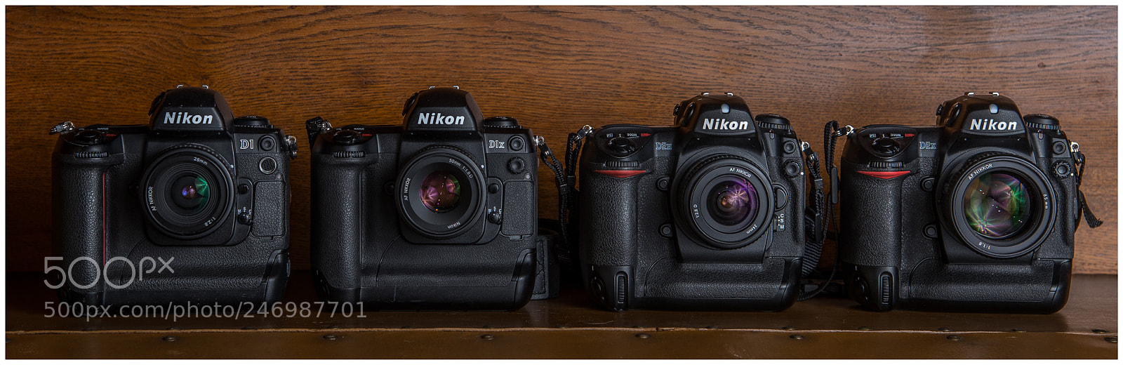 Nikon D600 sample photo. Nikon professionnel photography