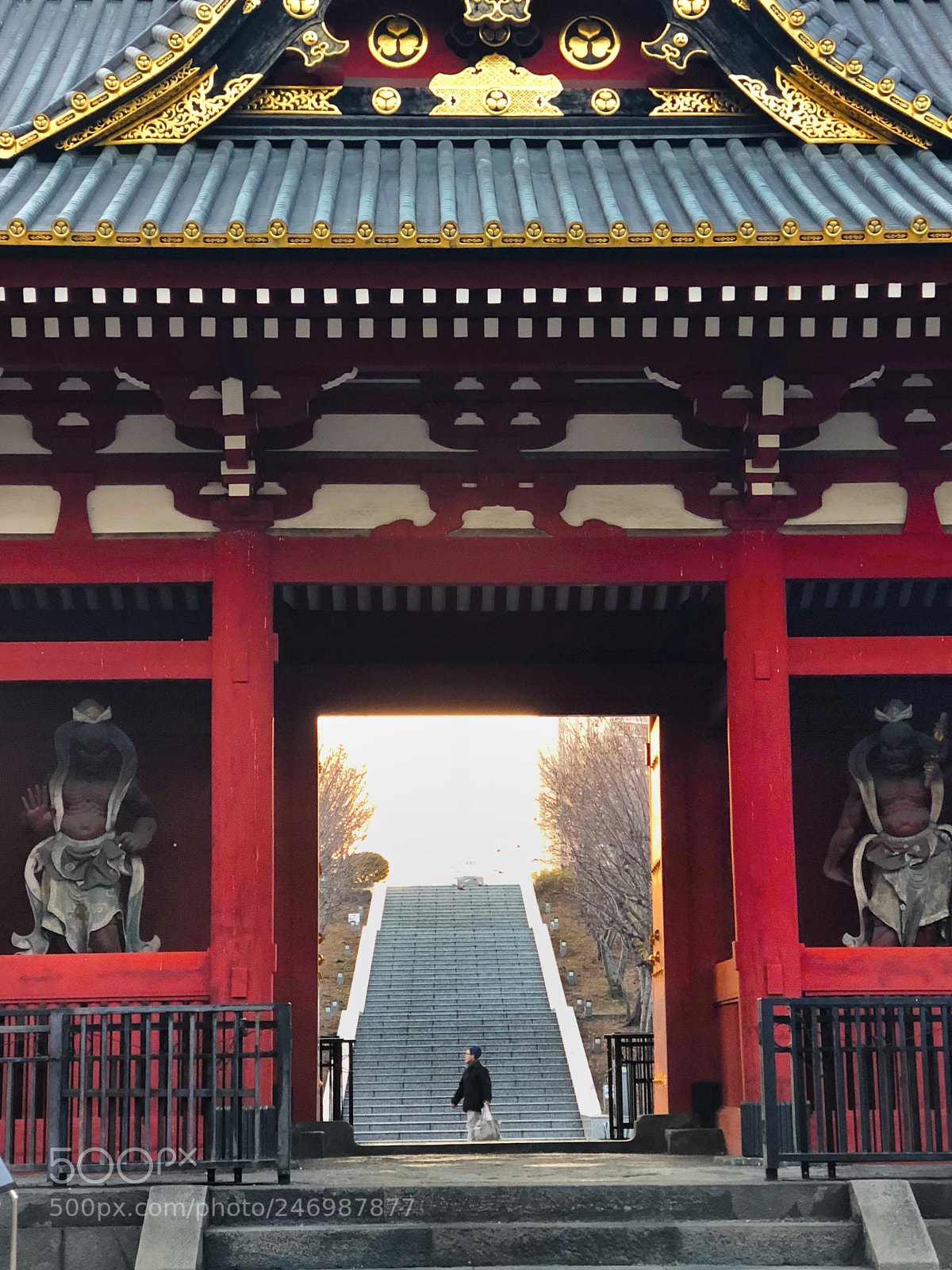 Apple iPhone X sample photo. Series of iphonex captures photography