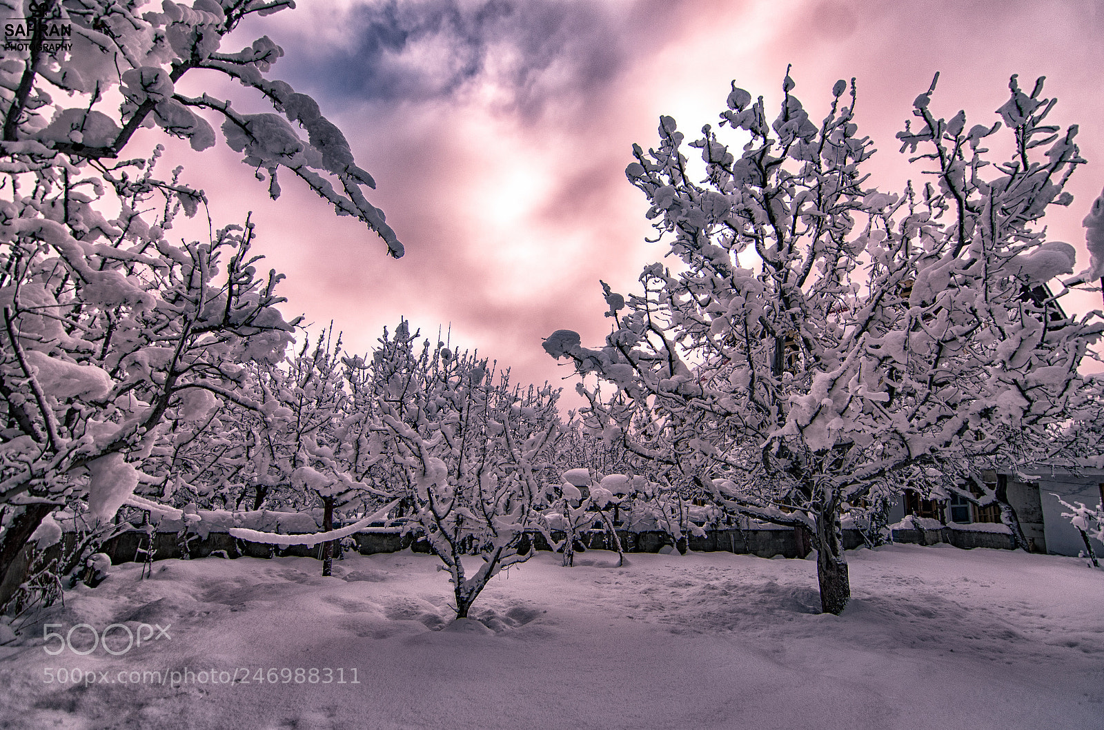 Nikon D500 sample photo. Winter wonderland photography