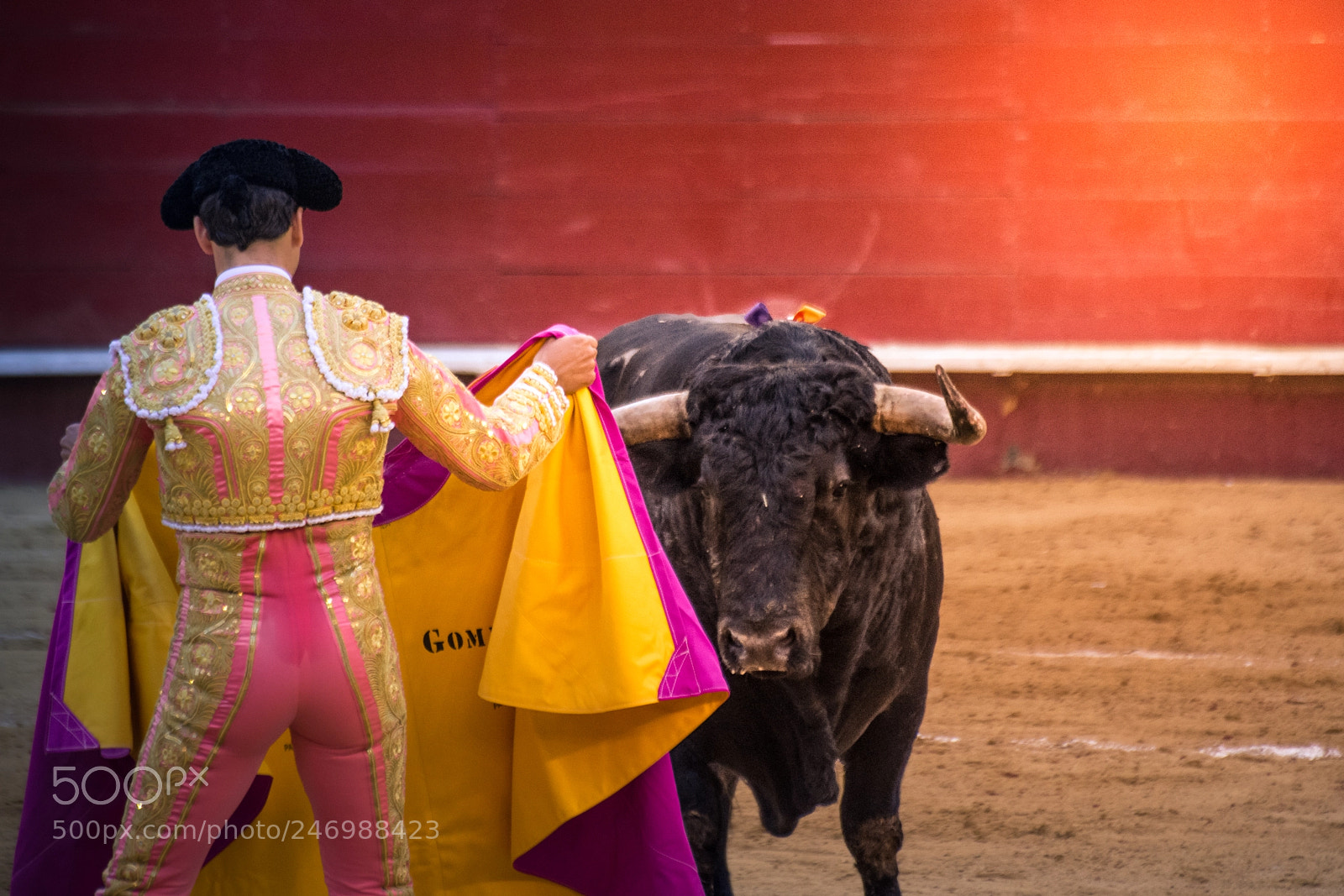 Nikon D7200 sample photo. Banderilla vs el toro photography
