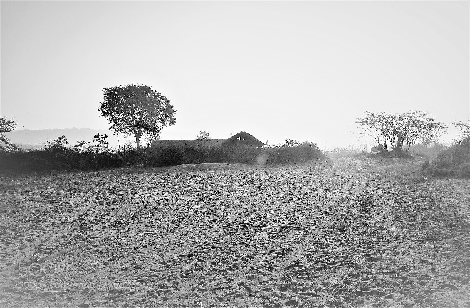 Sony Cyber-shot DSC-HX400V sample photo. Footprints in the dust photography
