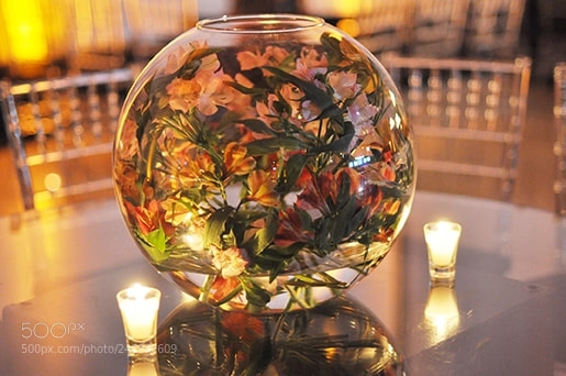 Nikon D5000 sample photo. Flowerball photography