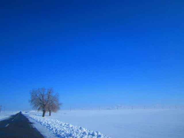 Canon PowerShot A2200 sample photo. () photography