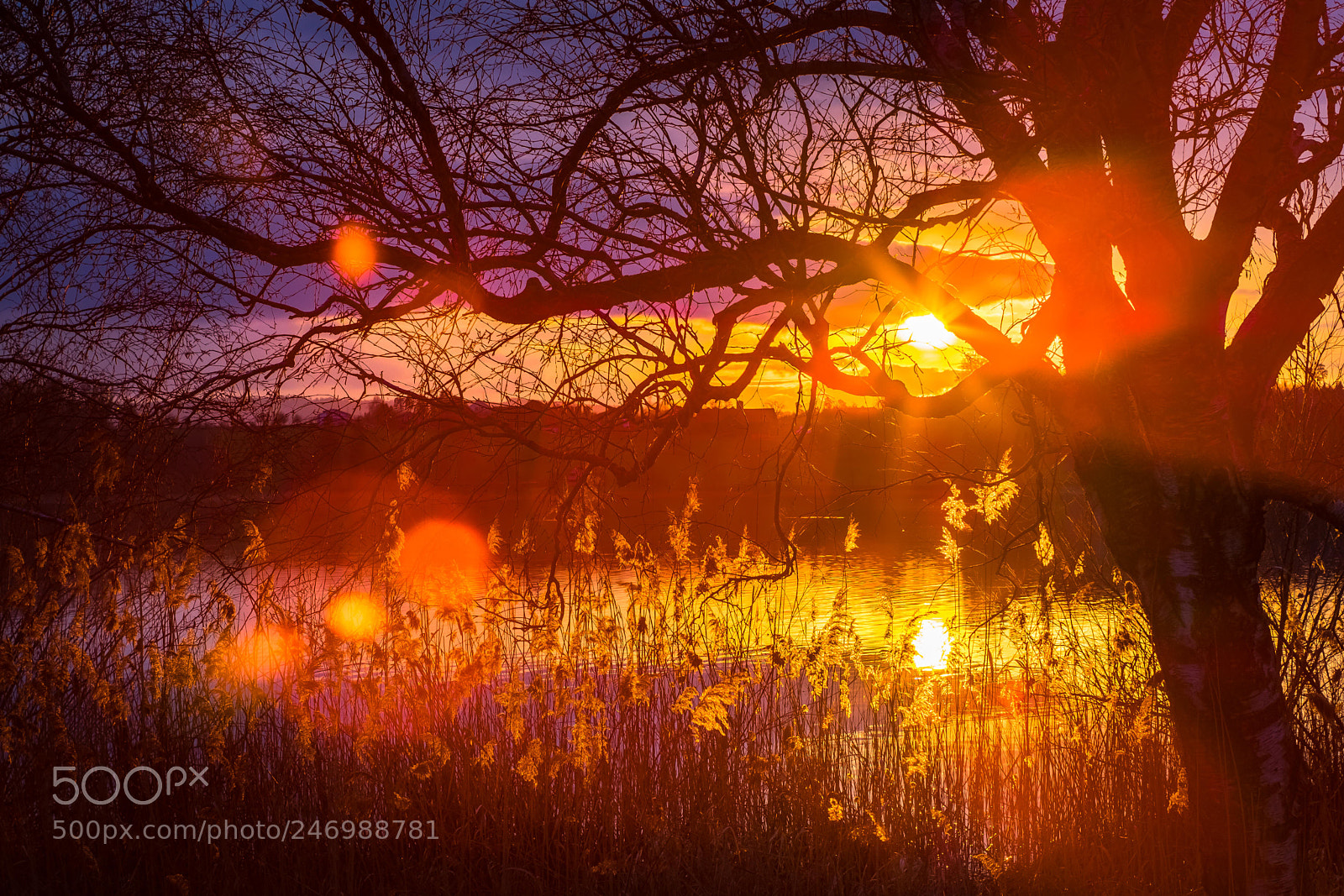 Fujifilm X-T2 sample photo. Sunset on swiss lake photography