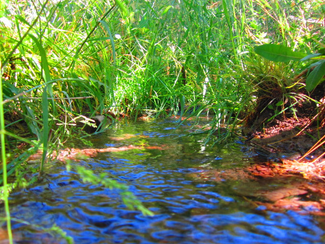 Canon PowerShot A2200 sample photo. Img photography