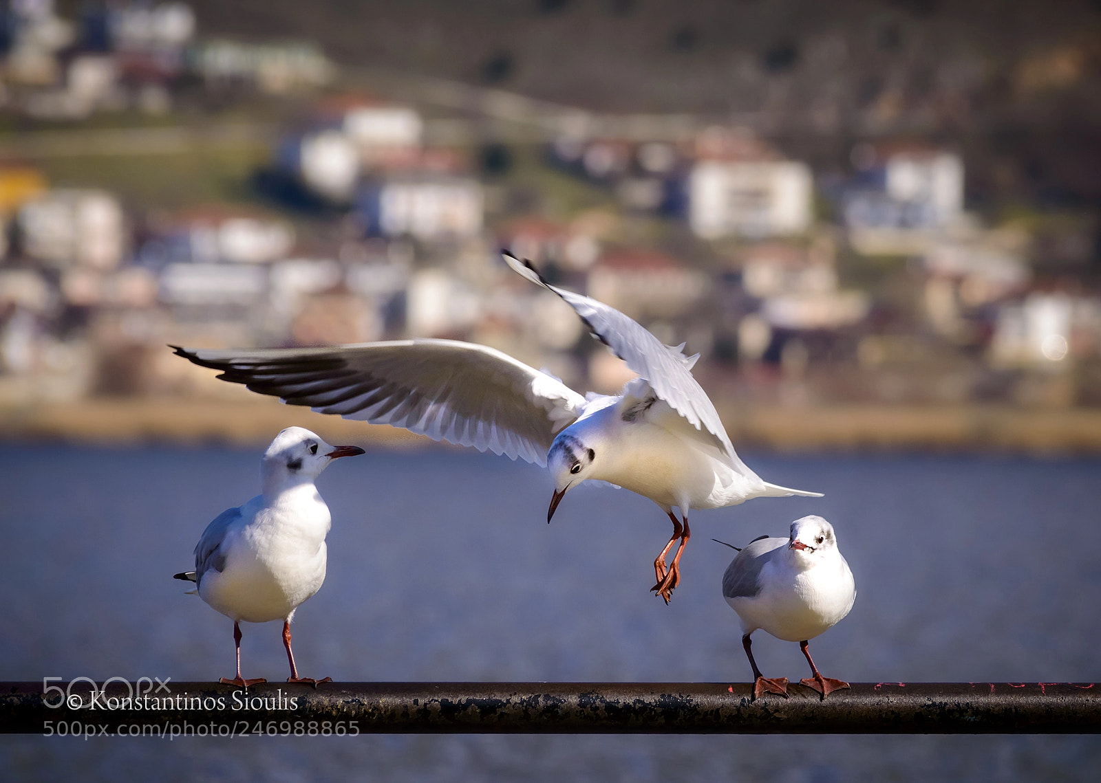 Nikon D3200 sample photo. Untitled photography