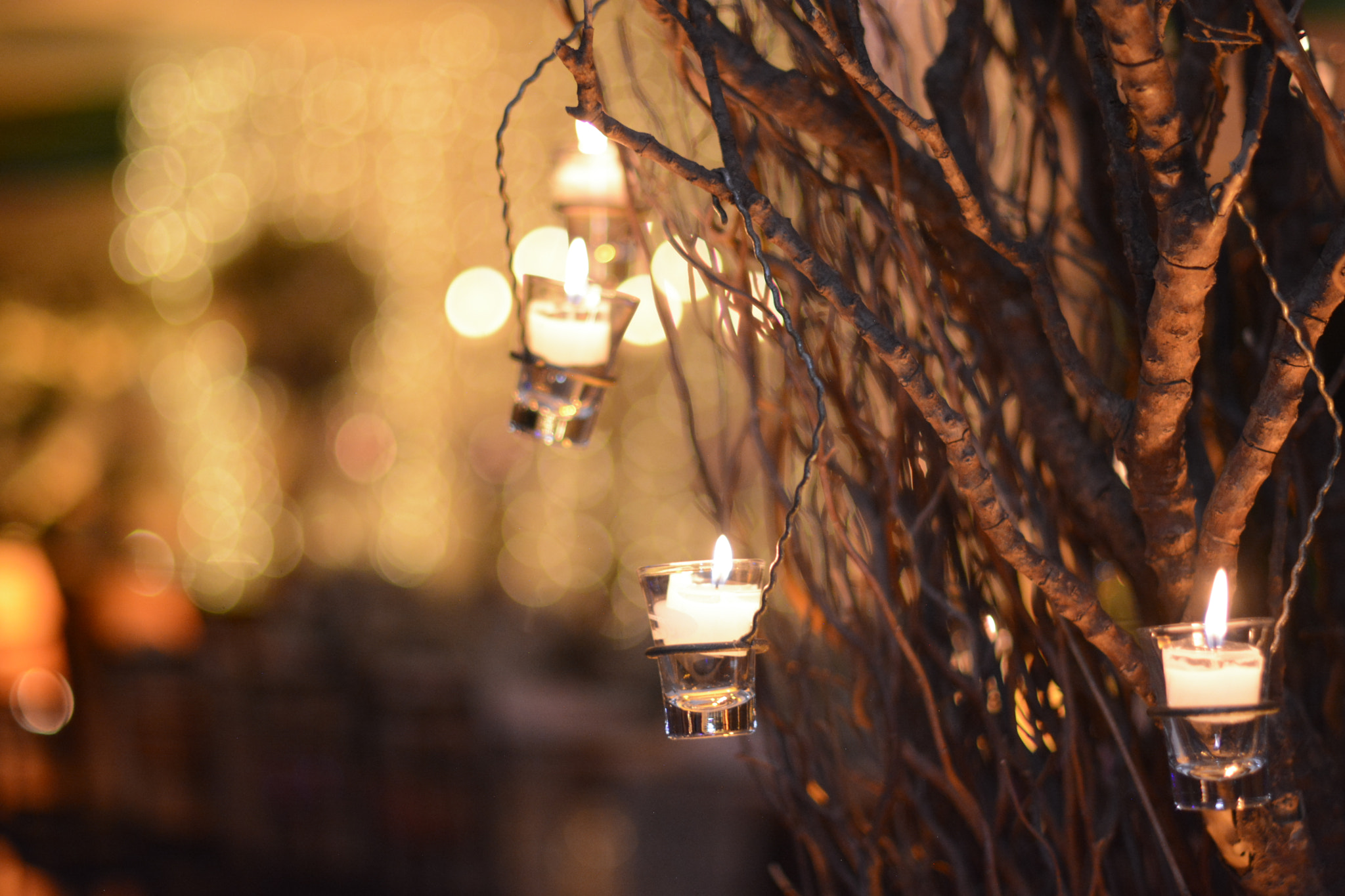 Nikon D5200 + Nikon AF-S Nikkor 50mm F1.4G sample photo. Candle island photography