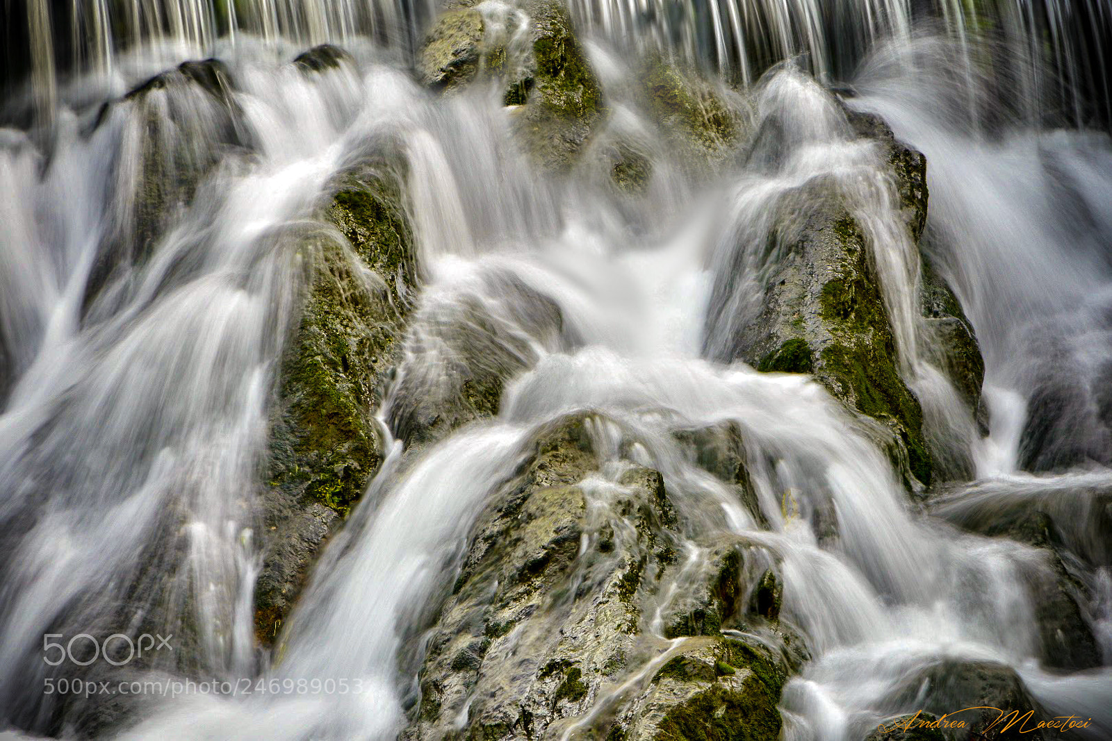 Nikon D3400 sample photo. Run th water photography