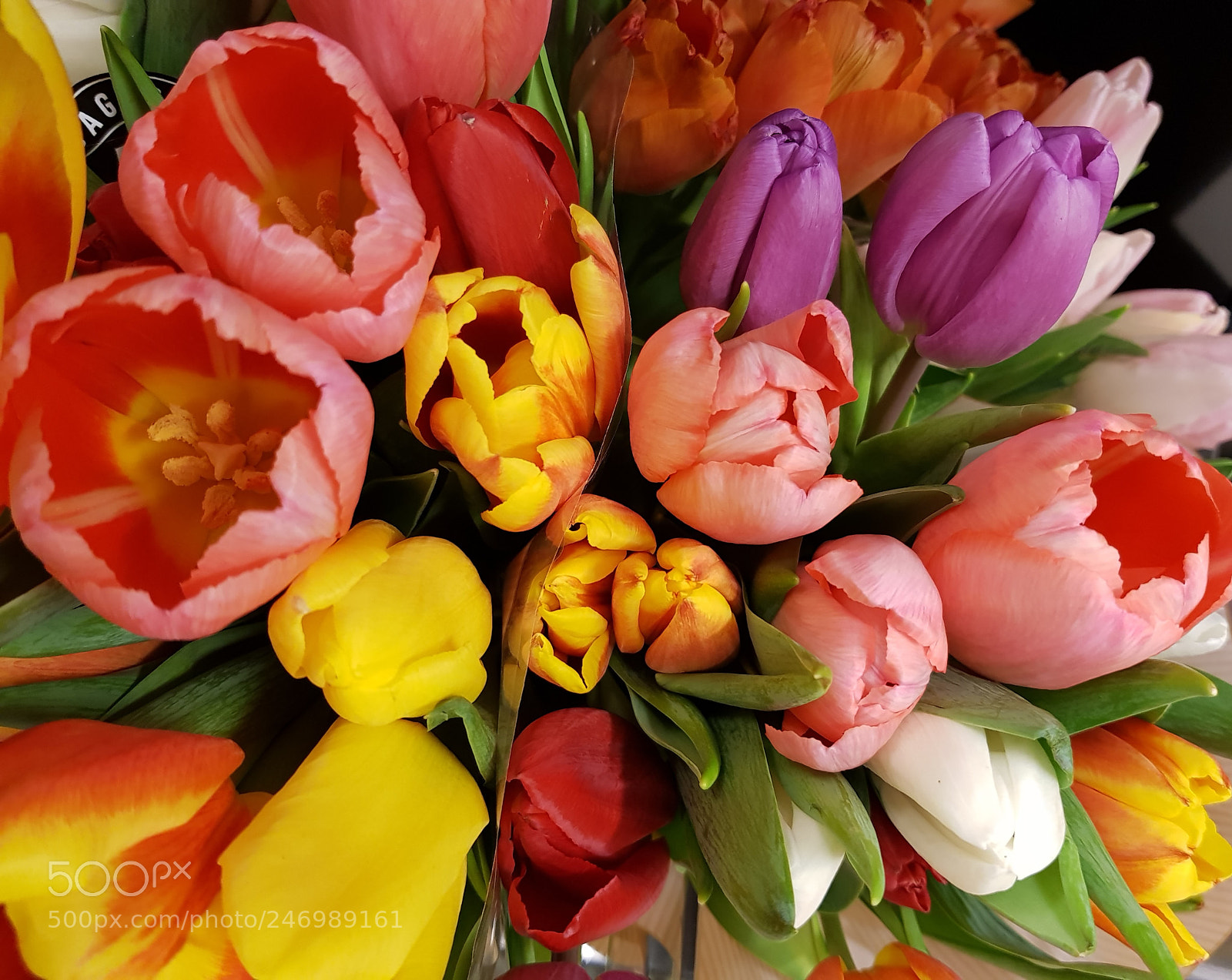 Samsung Galaxy S8 sample photo. Tulips photography