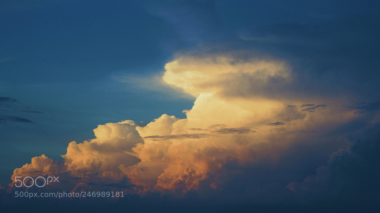 Sony a7R II sample photo. Chiều xuân photography