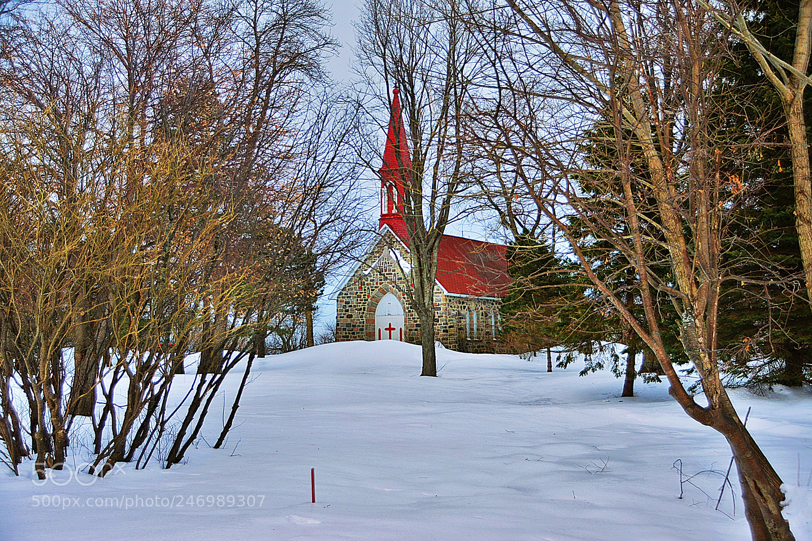 Nikon D7100 sample photo. L’église photography