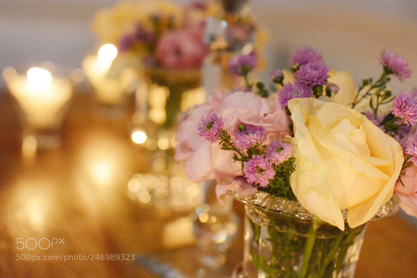Nikon D5200 sample photo. Flower photography