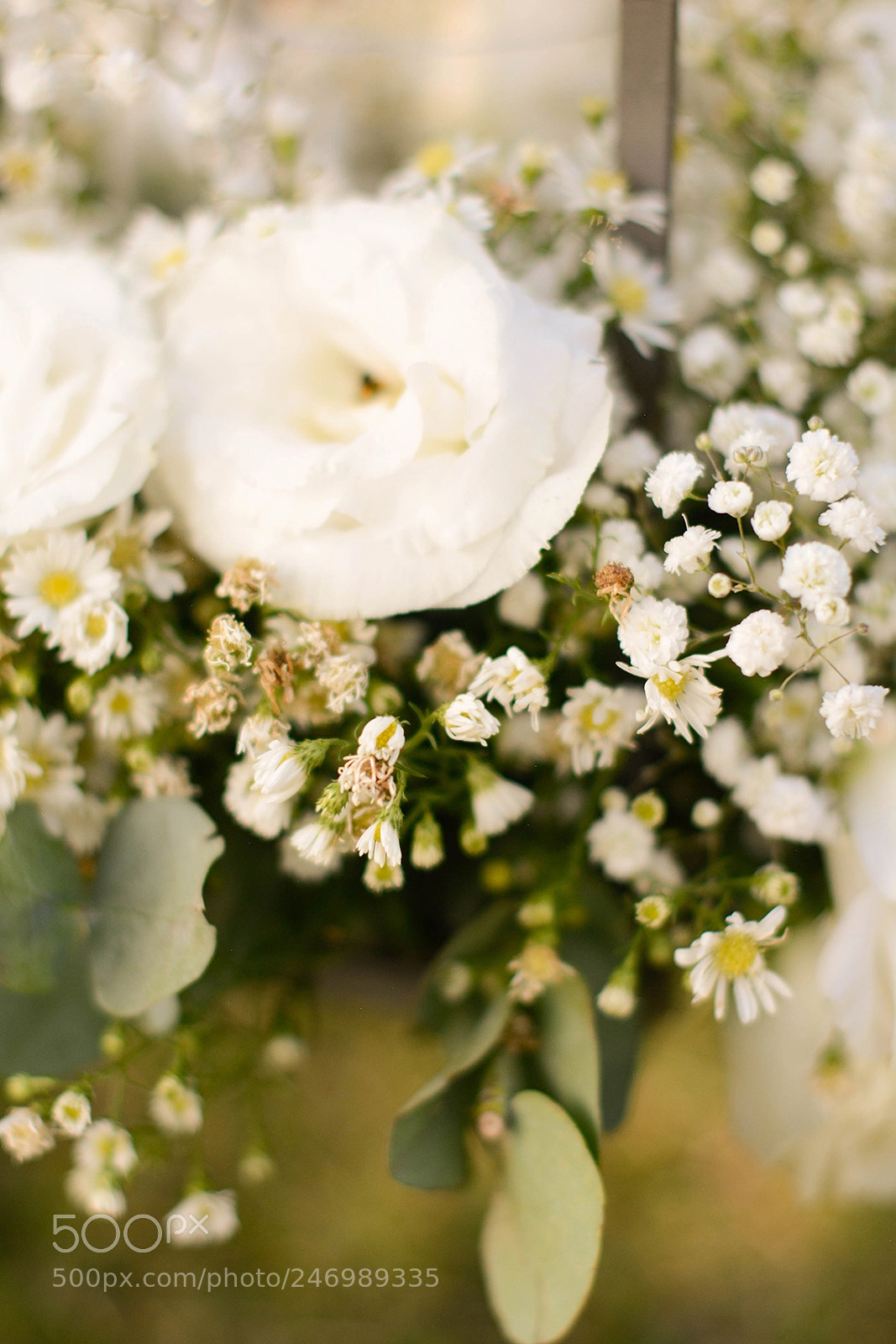 Nikon D5200 sample photo. Farm flower photography