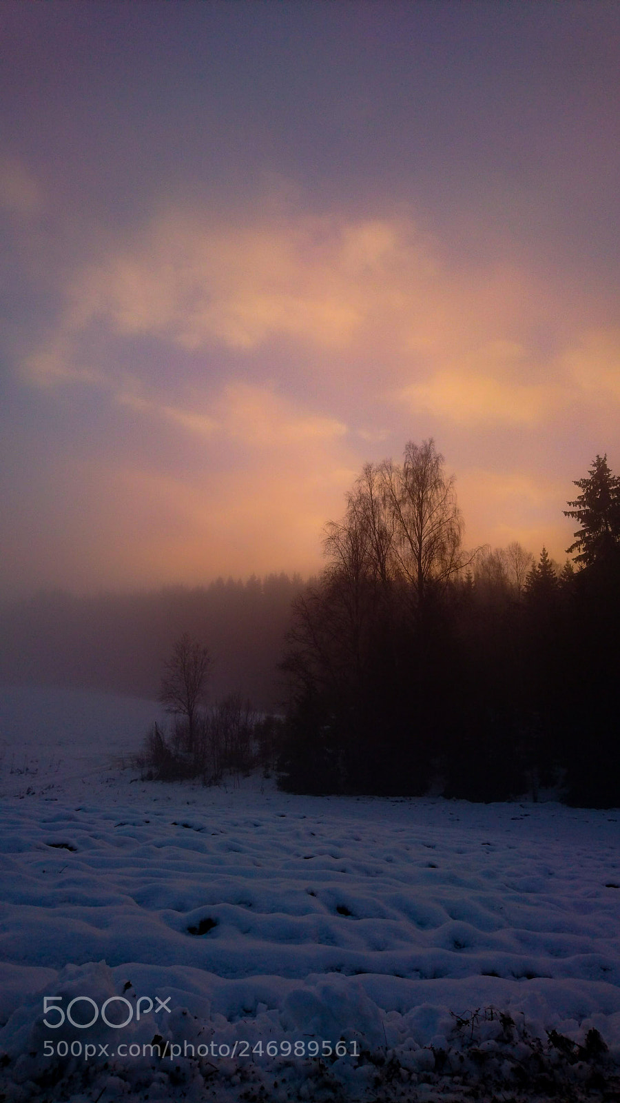 Sony Xperia Z5 sample photo. Mist photography