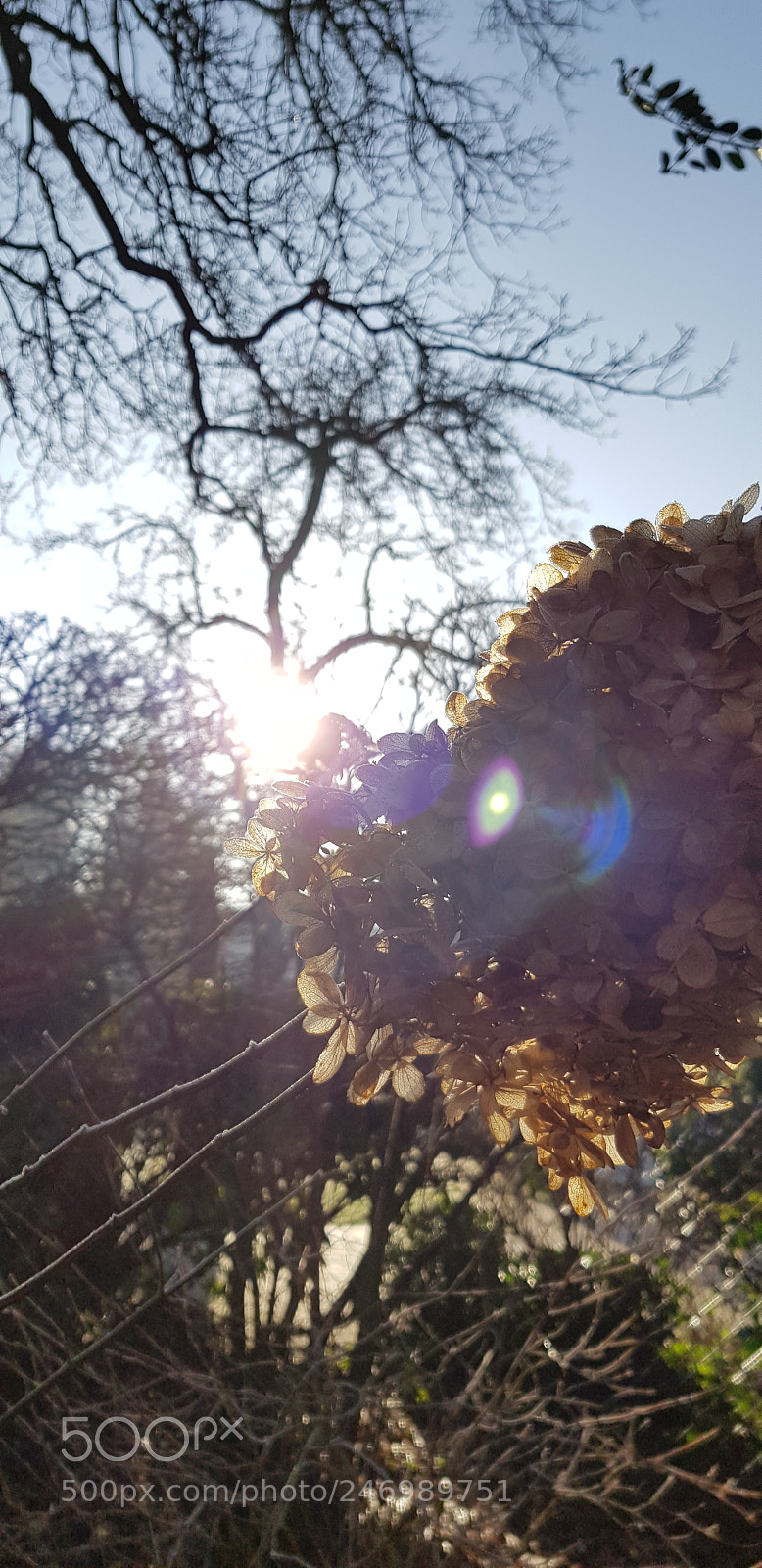 Samsung Galaxy S8 sample photo. Cold photography