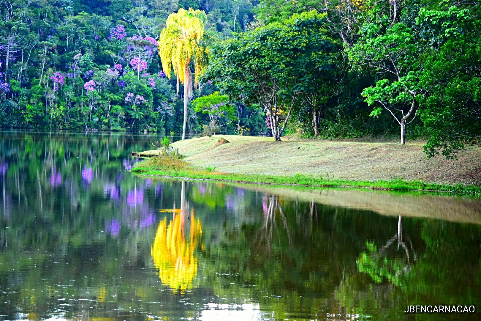Nikon D5600 sample photo. Water mirror photography