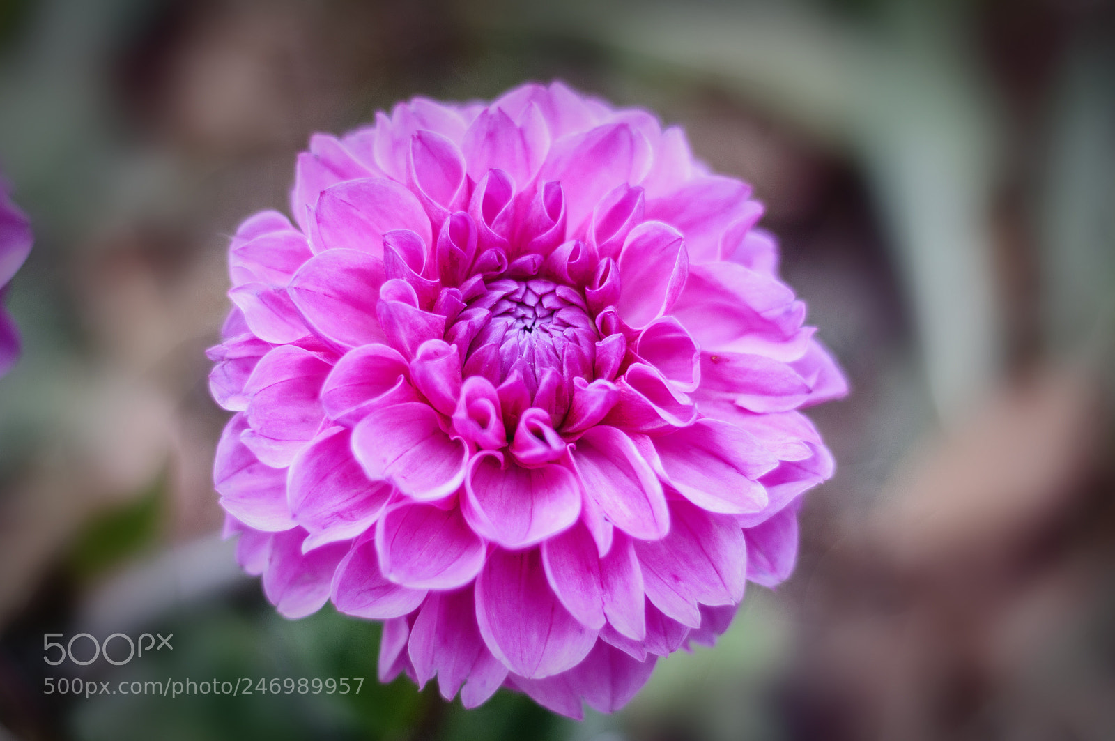 Nikon D90 sample photo. ... photography